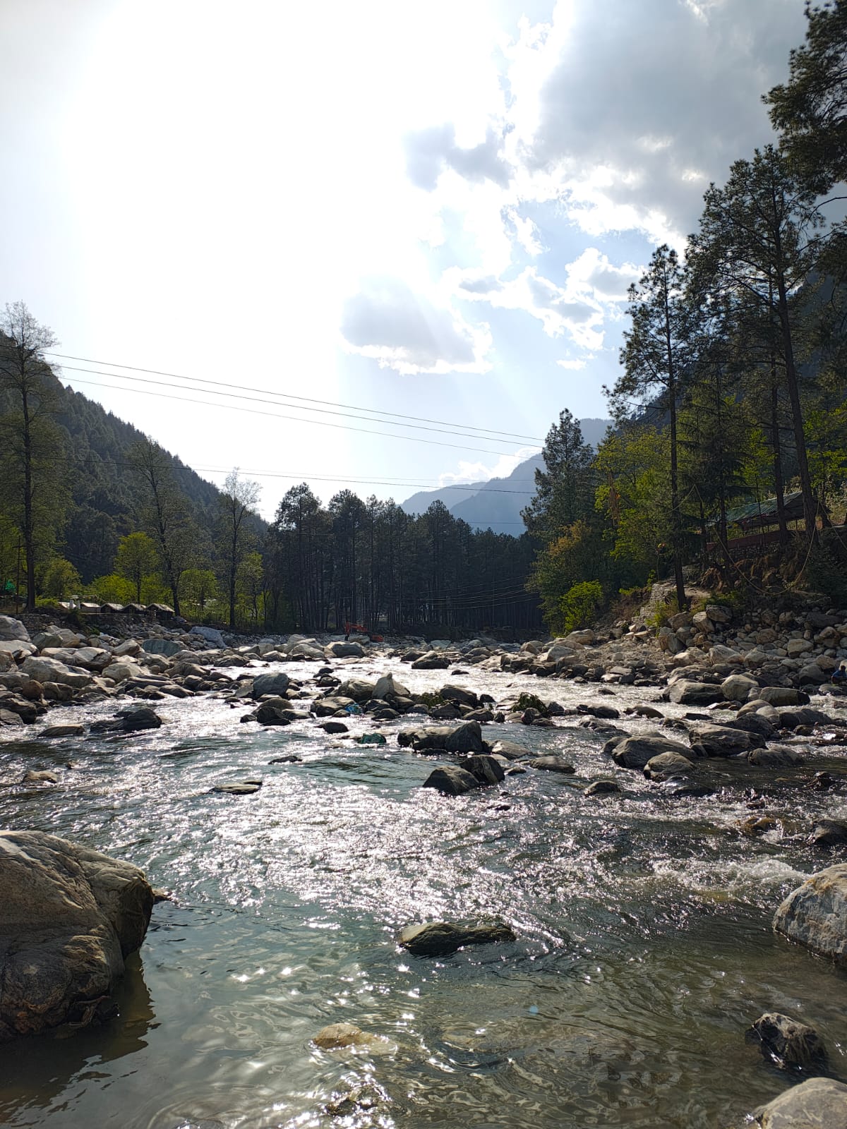 A river flowing through pine-covered mountains — a travel memory